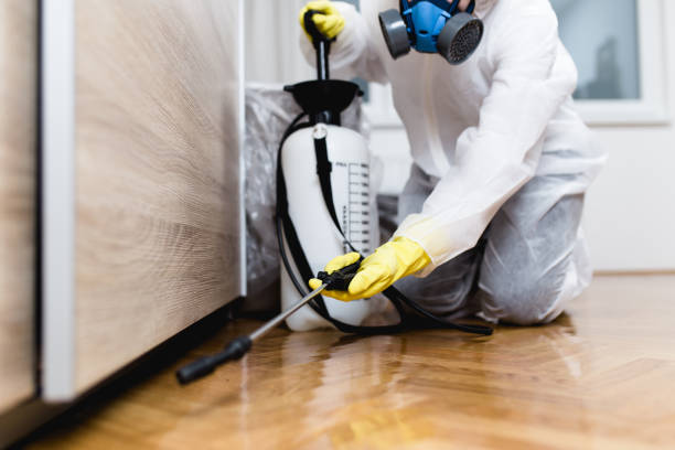 Best Cockroach Control Services  in Sanborn, NY