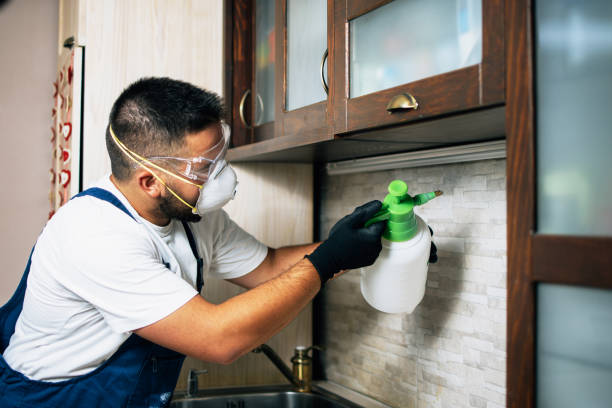 Best Ant Control Services  in Sanborn, NY