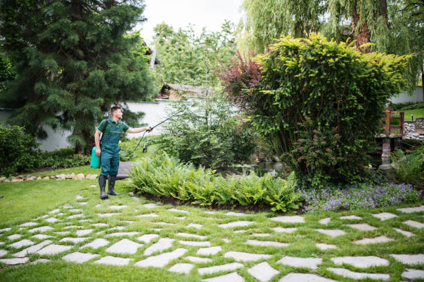 Best Residential Pest Control  in Sanborn, NY