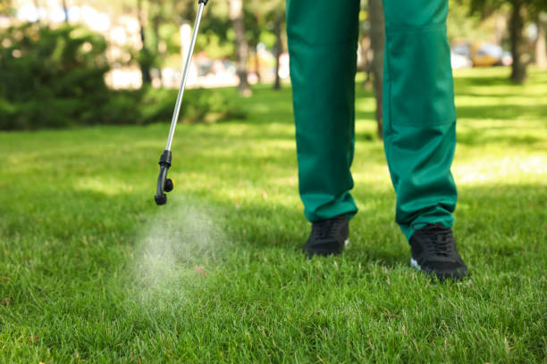 Best Exterminator Services  in Sanborn, NY