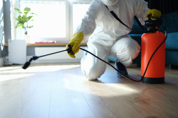 Best Pest Removal Services  in Sanborn, NY