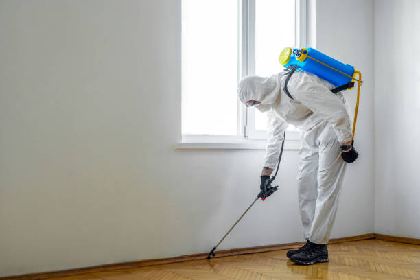 Best Pest Prevention Services  in Sanborn, NY