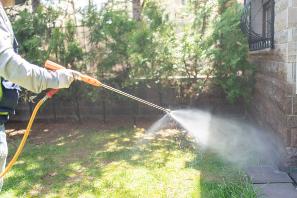 Reliable Sanborn, NY Pest Control Solutions