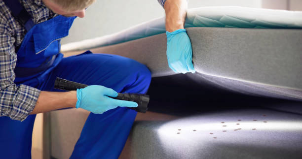 Best Pest Control Near Me  in Sanborn, NY