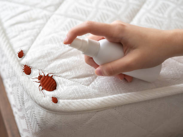 Best Commercial Pest Control Services  in Sanborn, NY