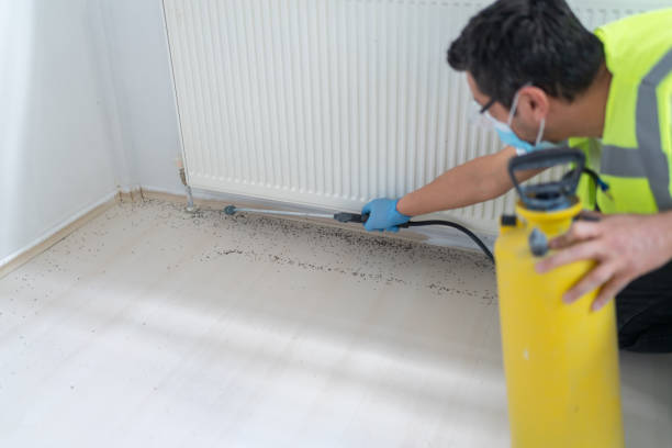 Best Pest Control for Homes  in Sanborn, NY