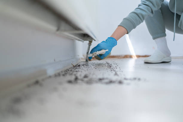 Best Best Pest Control Companies  in Sanborn, NY